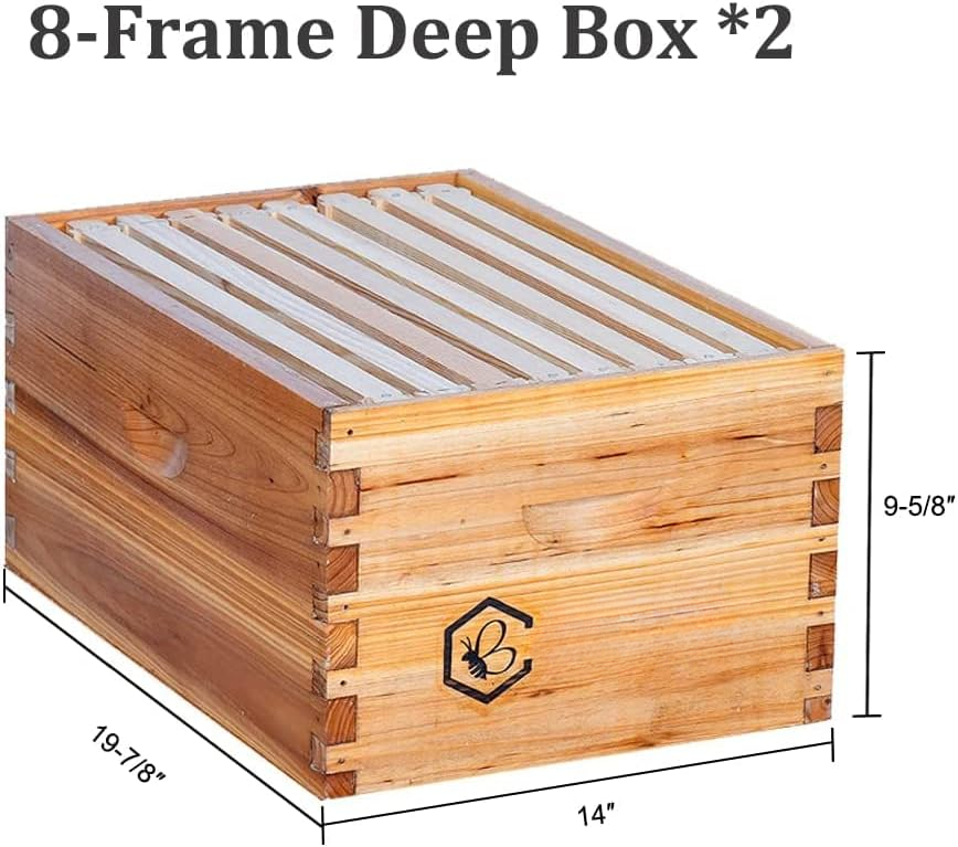 8 Frame Langstroth Bee Hive Co – Beehive Frame Wax recenzja i cena