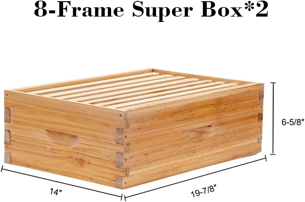 8 Frame Langstroth Bee Hive Co – Beehive Frame Wax recenzja i cena