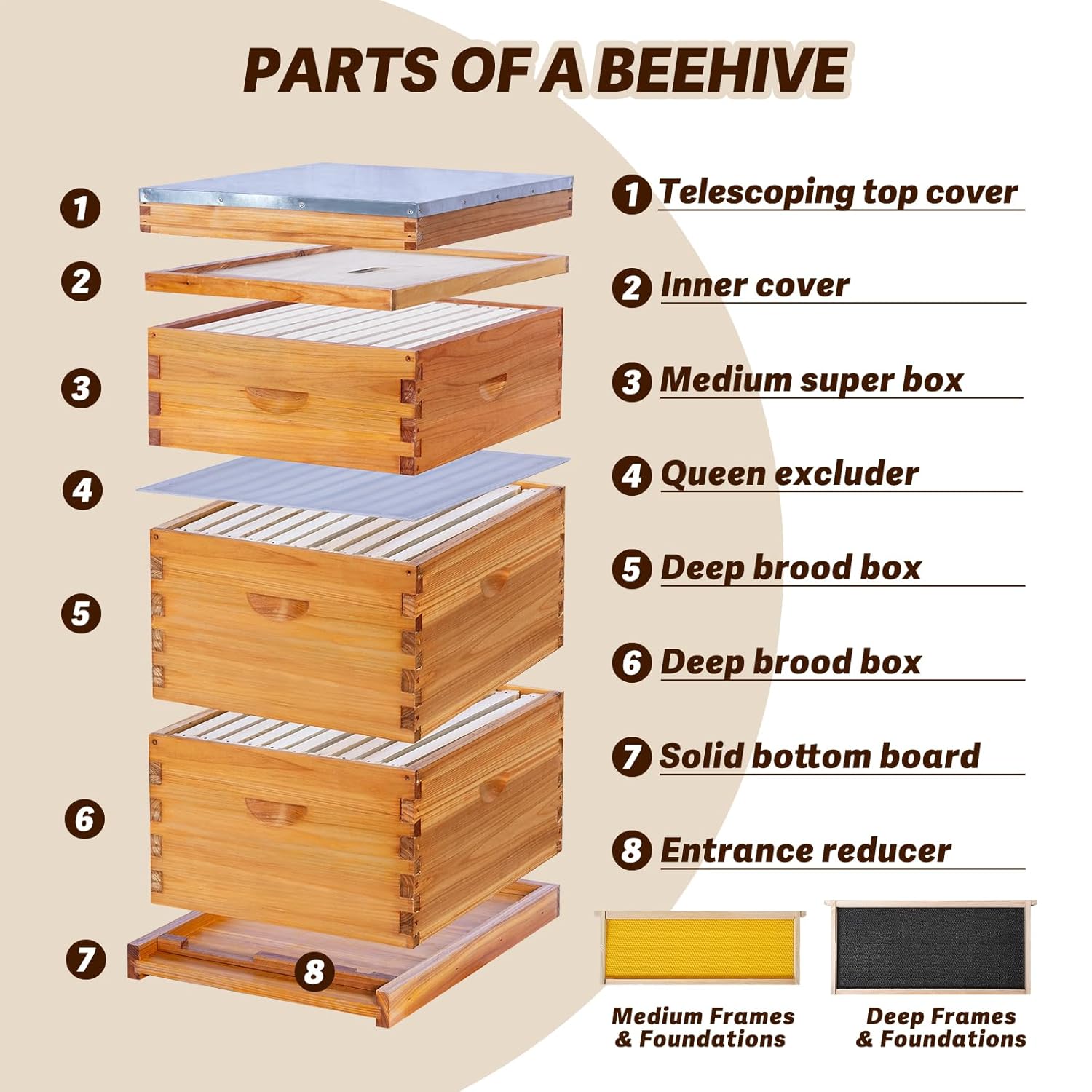 10-Frame Langstroth Bee Hive C – Beehive Frame Wax recenzja i cena