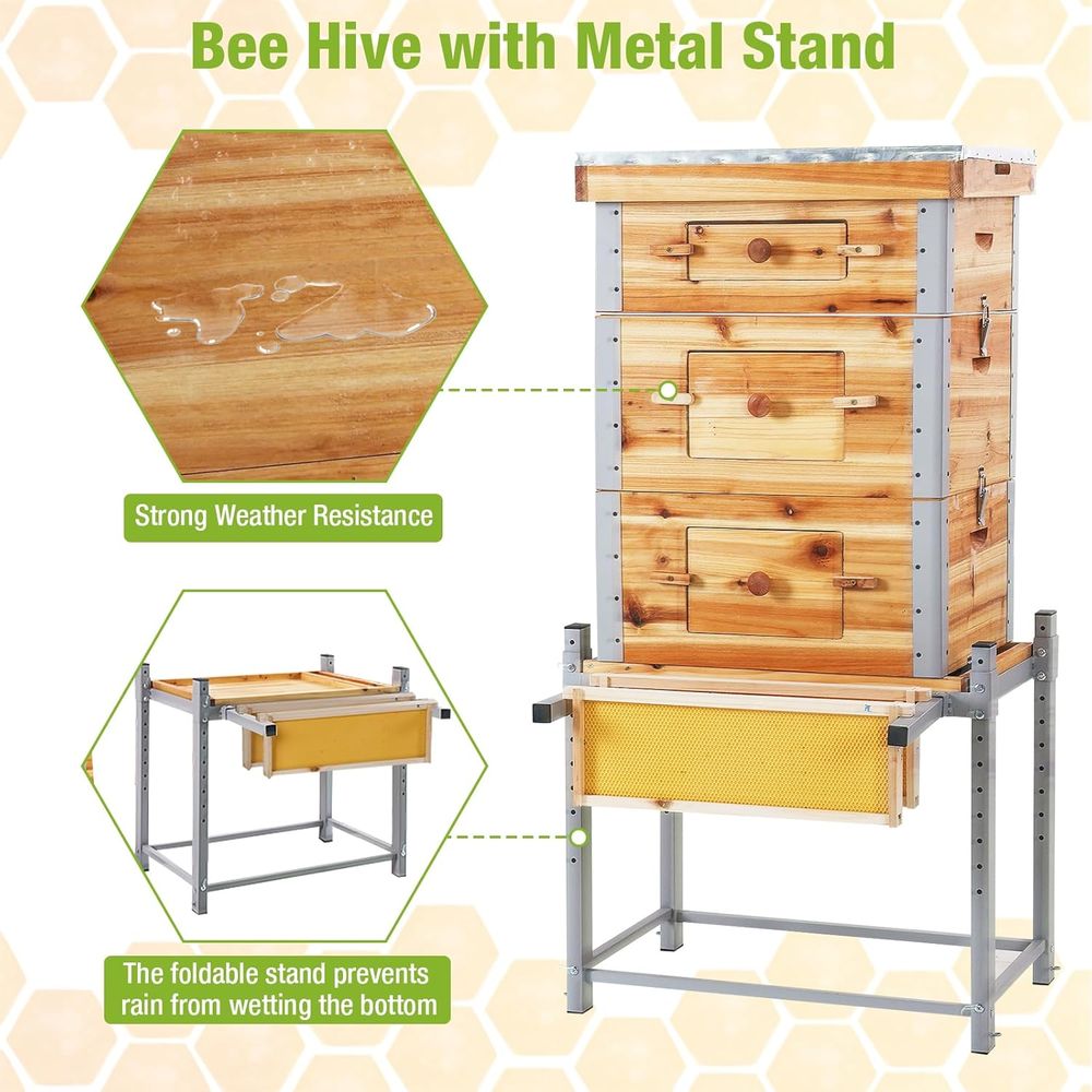 10-Frame Beehive Kit with Waxe – Beehive Frame Wax recenzja i cena