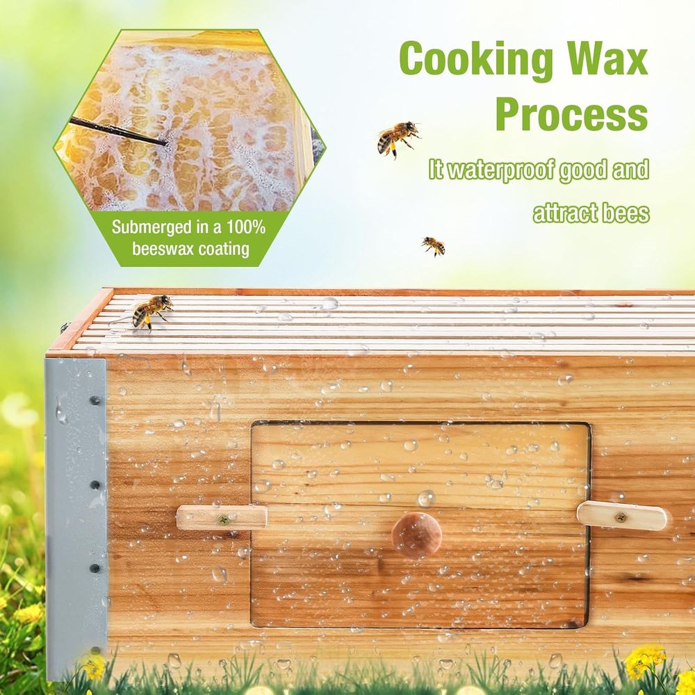 10-Frame Beehive Kit with Waxe – Beehive Frame Wax recenzja i cena