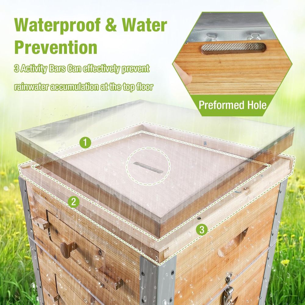 10-Frame Beehive Kit with Waxe – Beehive Frame Wax recenzja i cena